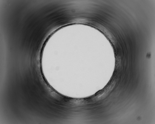 X0000103910939200810311429