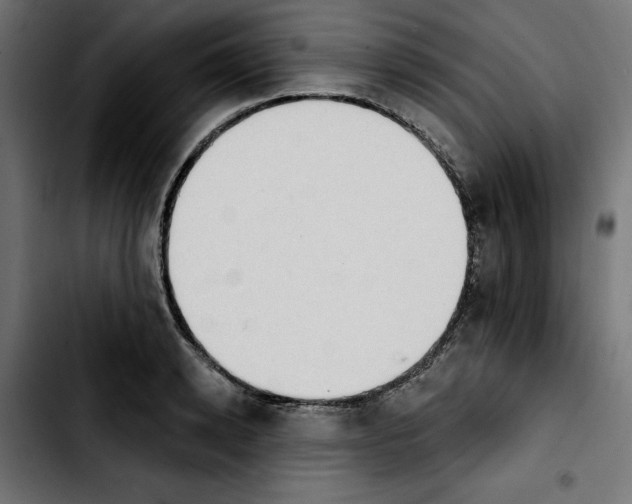 X0000103910942200810311429