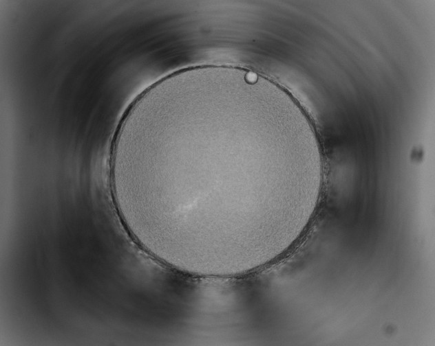 X0000103910944200810311429