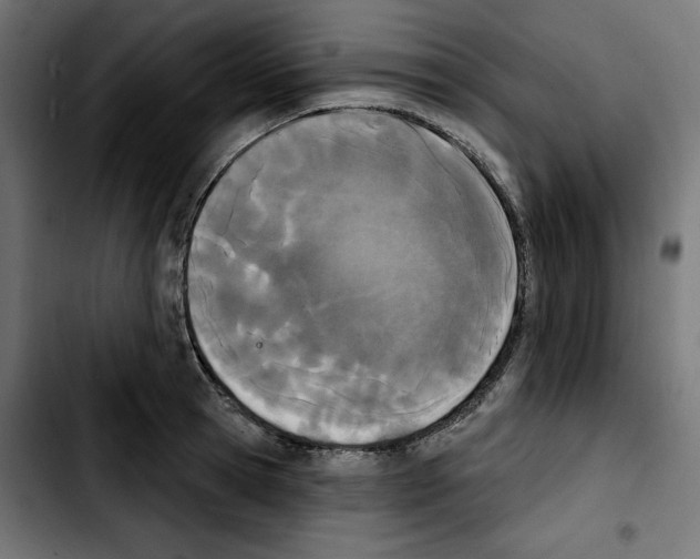 X0000103910945200810311429