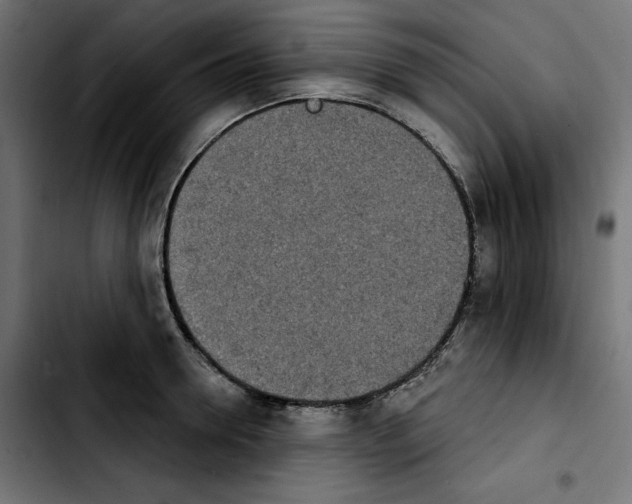 X0000103910946200810311429