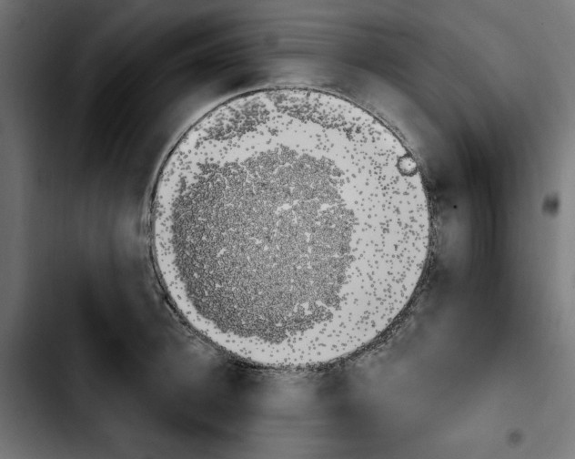 X0000103910948200810311429
