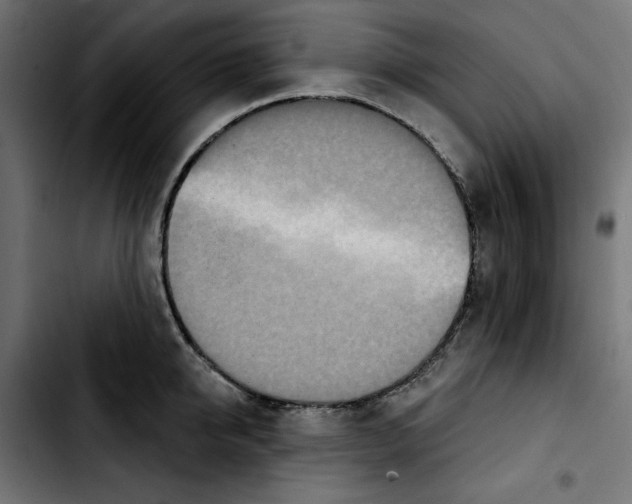 X0000103910950200810311429