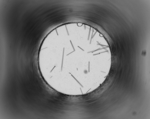 X0000103910951200810311429