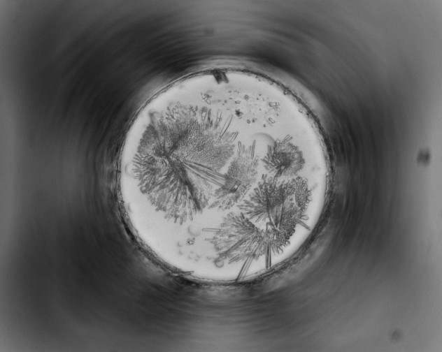 X0000103910953200810311429