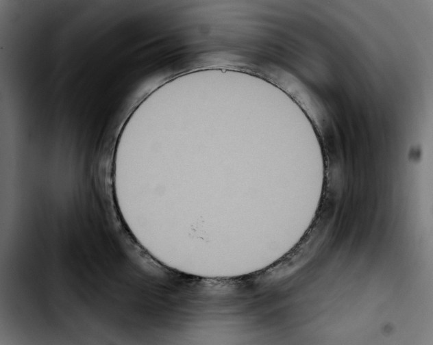 X0000103910954200810311429