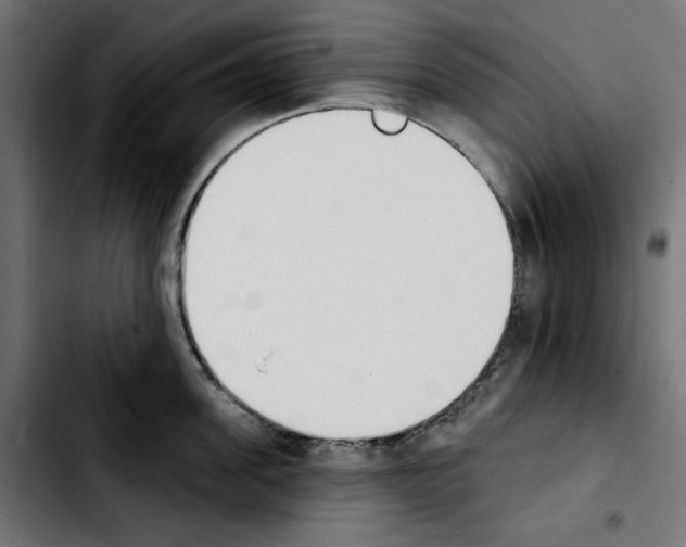 X0000103910955200810311429