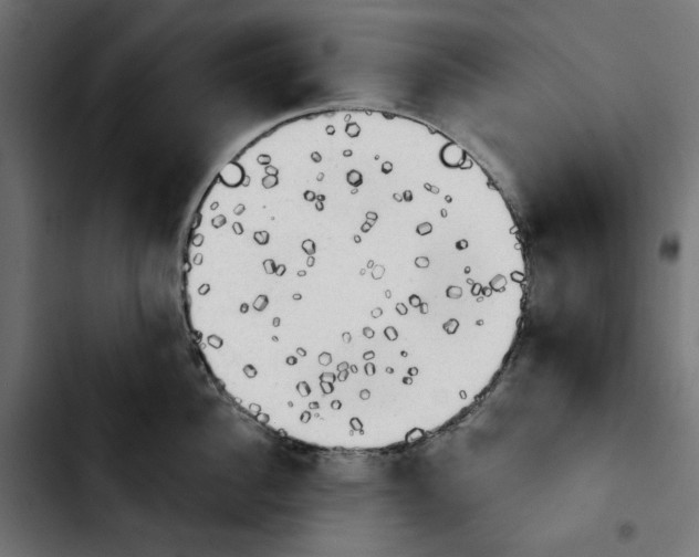 X0000103910956200810311429