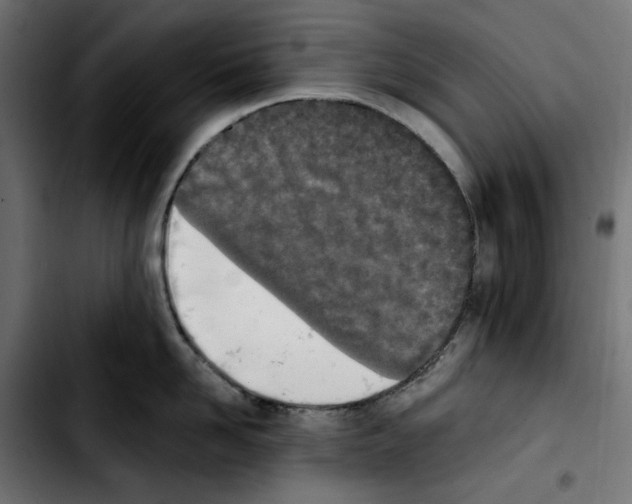 X0000103910958200810311429