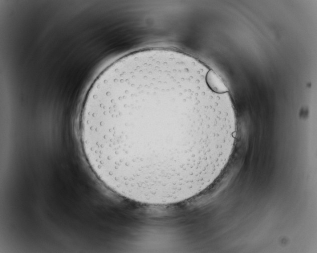 X0000103910959200810311429