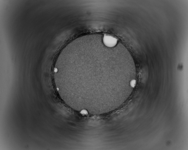 X0000103910961200810311429