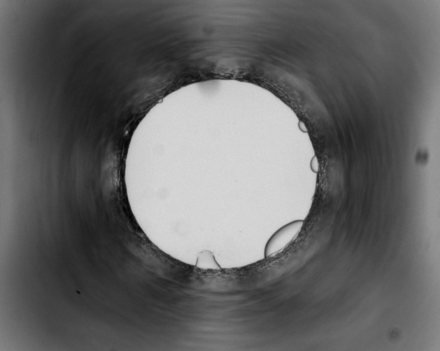 X0000103910962200810311429