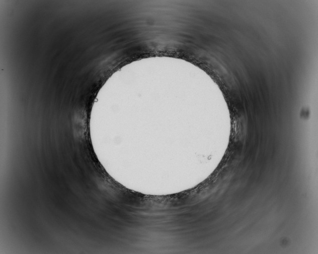 X0000103910963200810311429