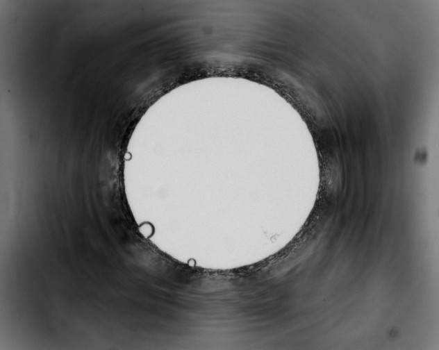 X0000103910964200810311429