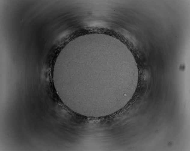 X0000103910965200810311429