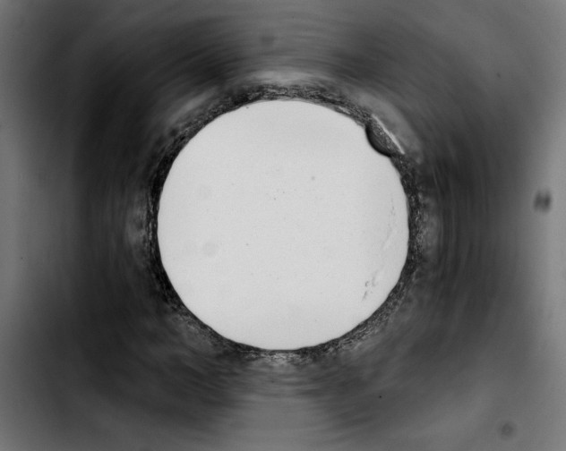 X0000103910966200810311429