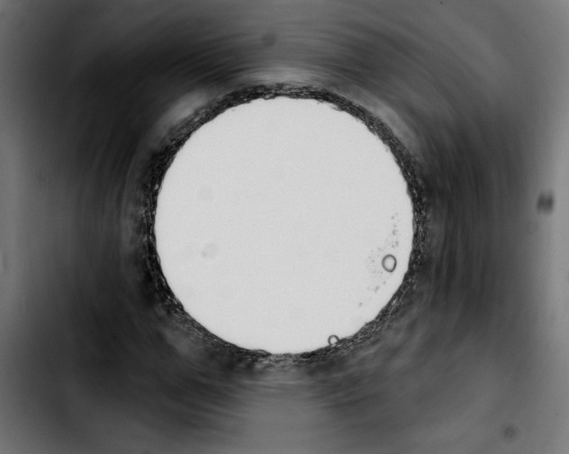 X0000103910967200810311429