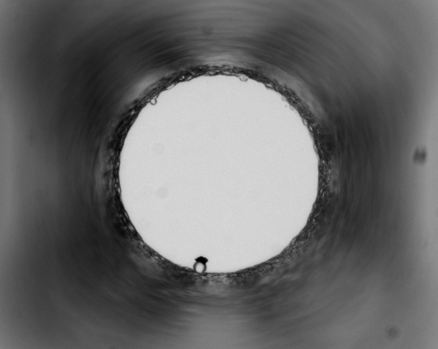 X0000103910968200810311429