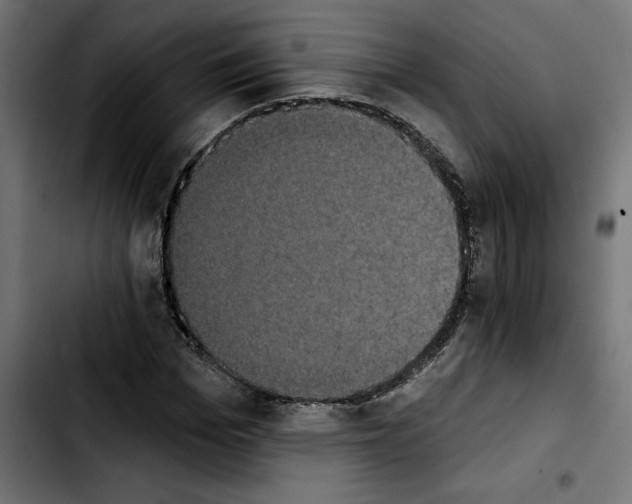 X0000103910969200810311429