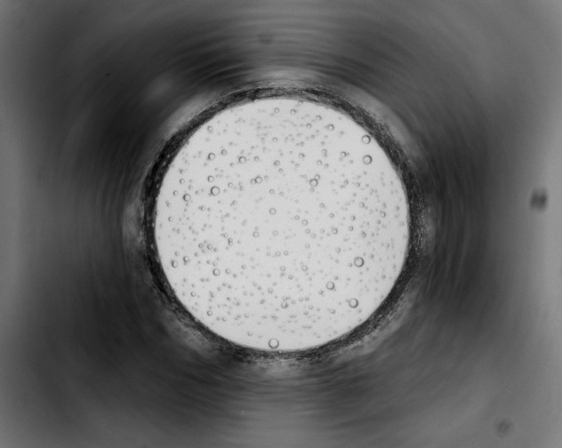 X0000103910970200810311429