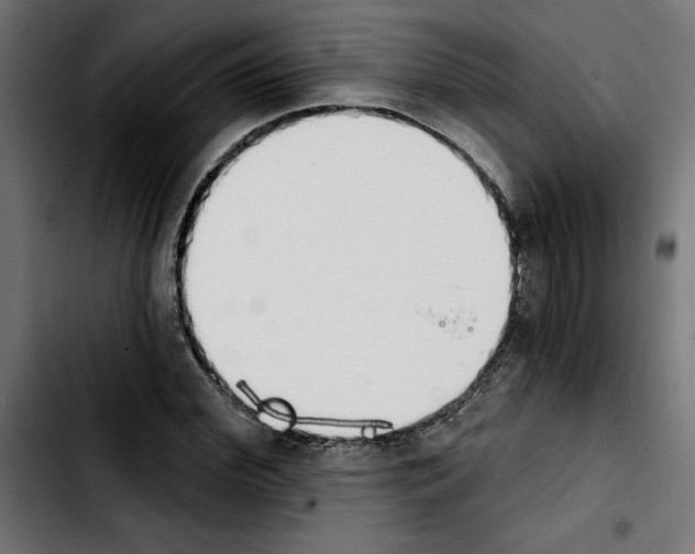 X0000103910972200810311428