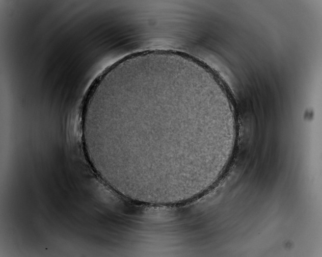 X0000103910973200810311428