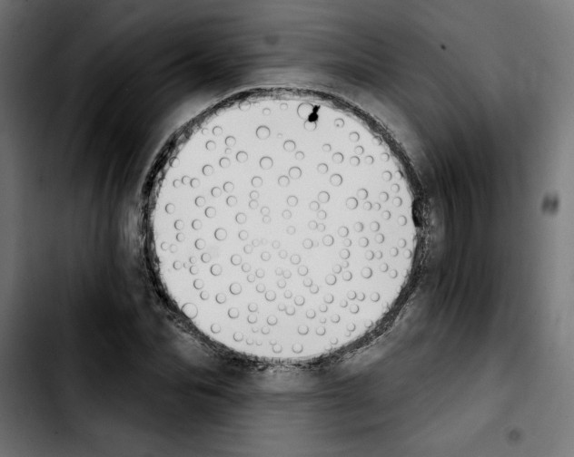 X0000103910974200810311428