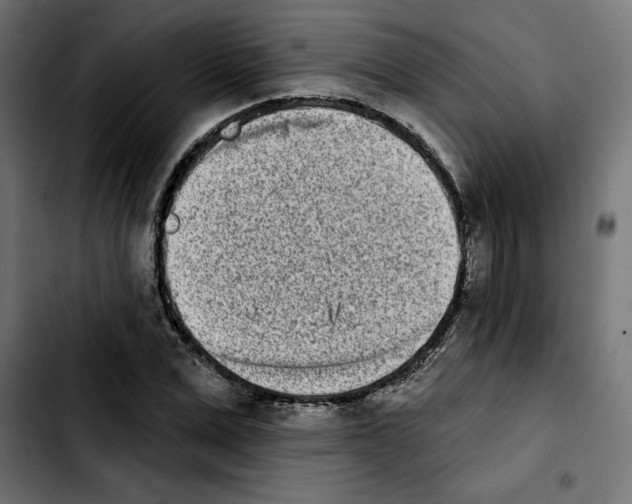 X0000103910975200810311428