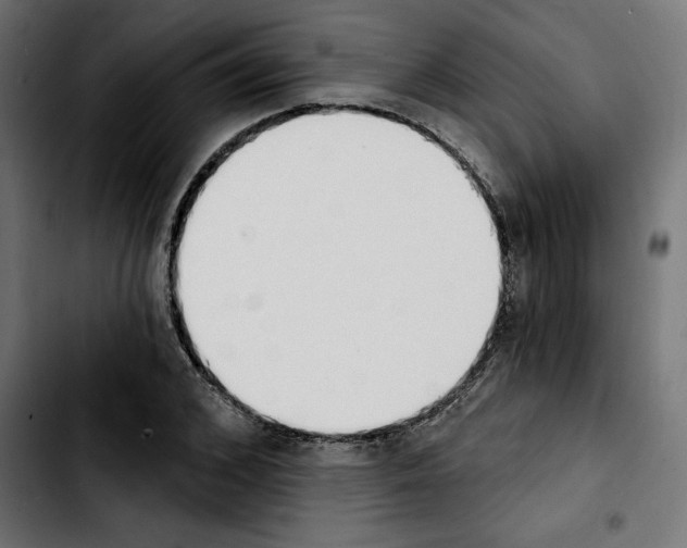 X0000103910976200810311428