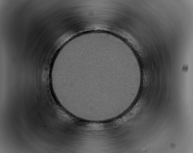 X0000103910977200810311428