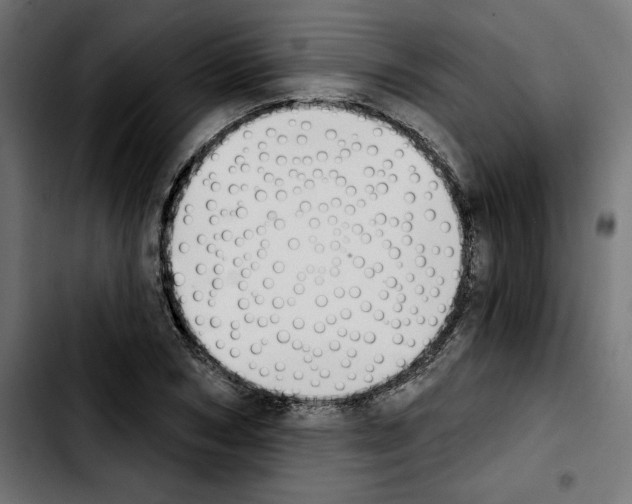 X0000103910978200810311428