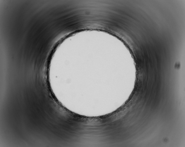 X0000103910979200810311428