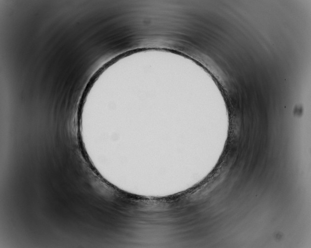 X0000103910980200810311428