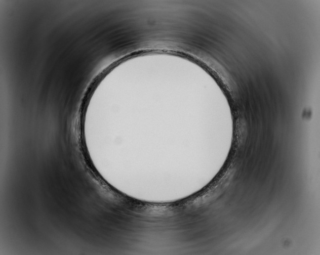 X0000103910982200810311428