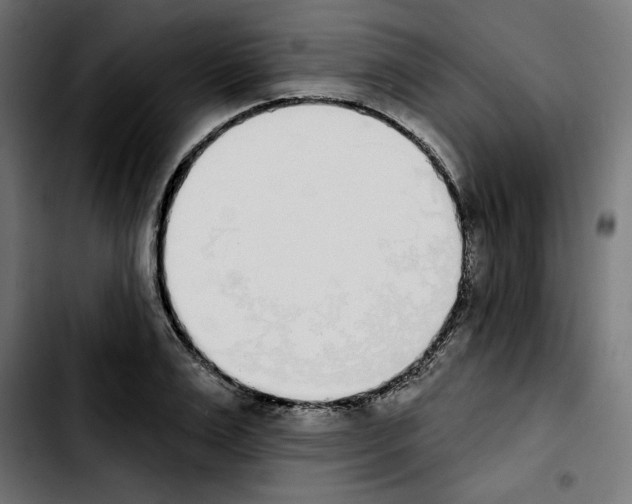 X0000103910983200810311428