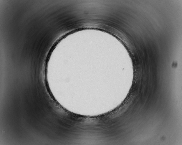 X0000103910984200810311428