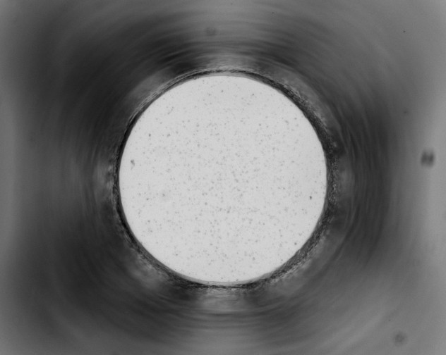 X0000103910985200810311428