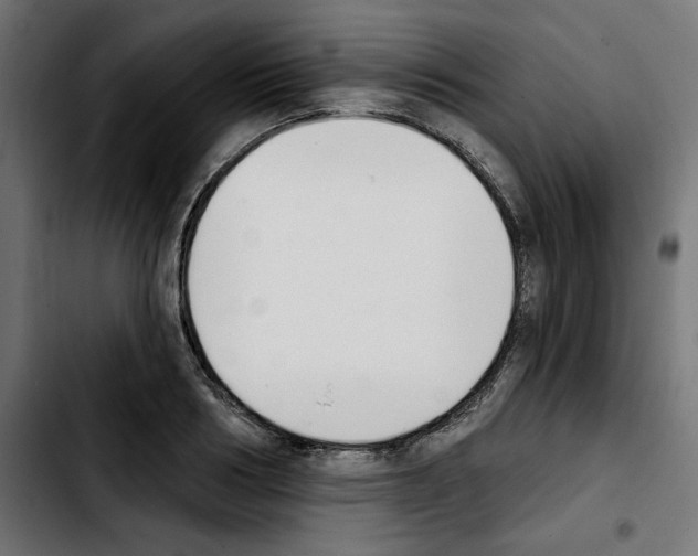 X0000103910986200810311428
