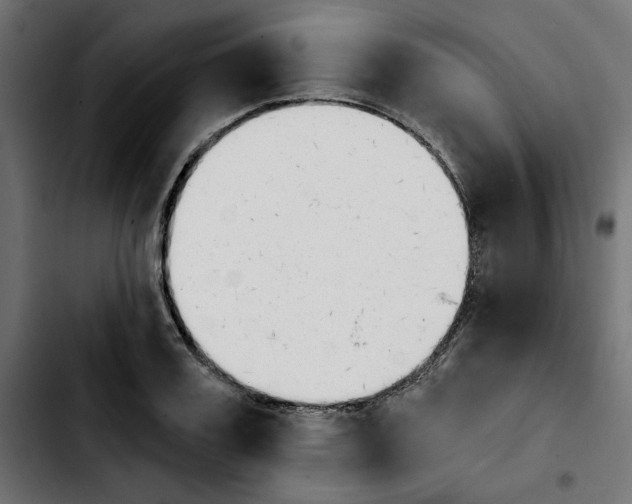 X0000103910987200810311428