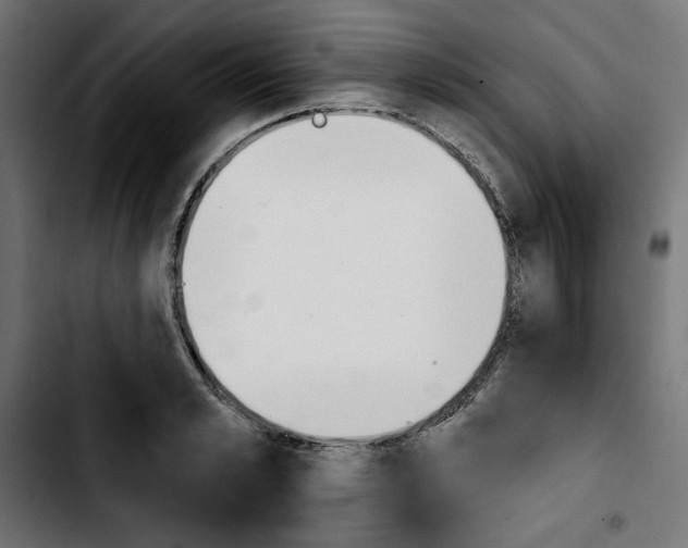 X0000103910989200810311428