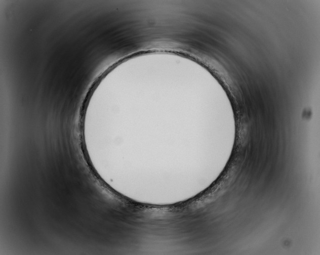 X0000103910990200810311428