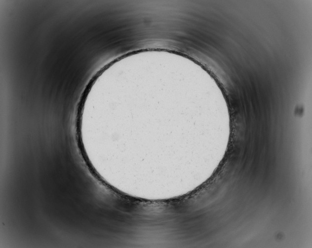 X0000103910991200810311428