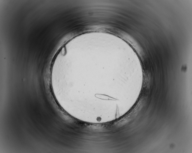 X0000103910994200810311428