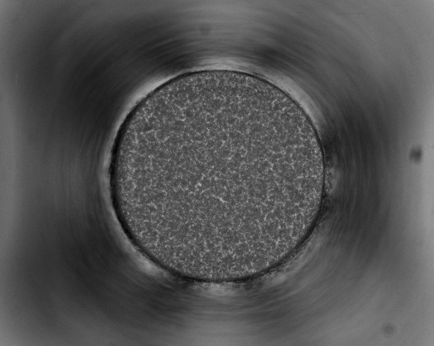 X0000103910995200810311428
