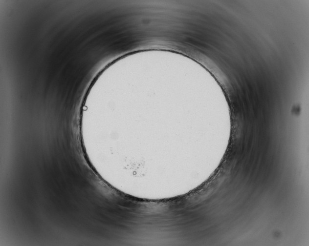 X0000103910996200810311428