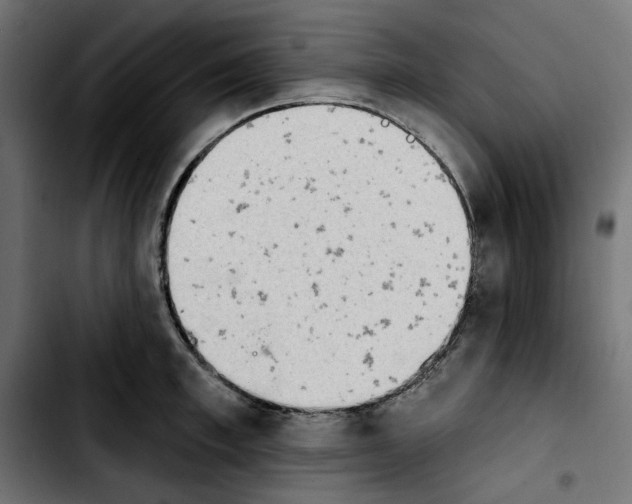 X0000103910997200810311428