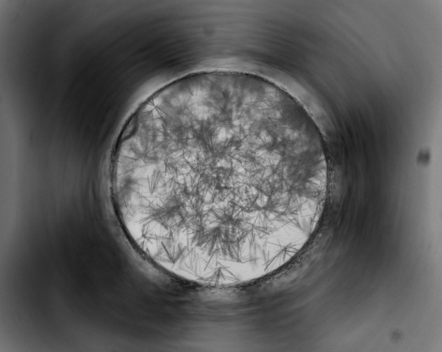 X0000103910998200810311428