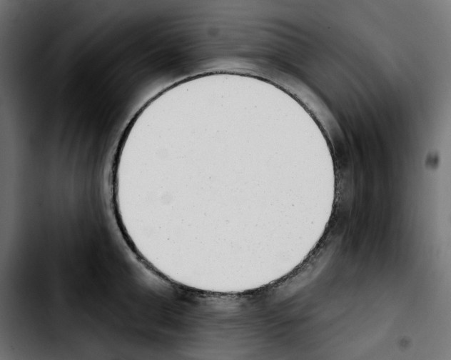 X0000103910999200810311428