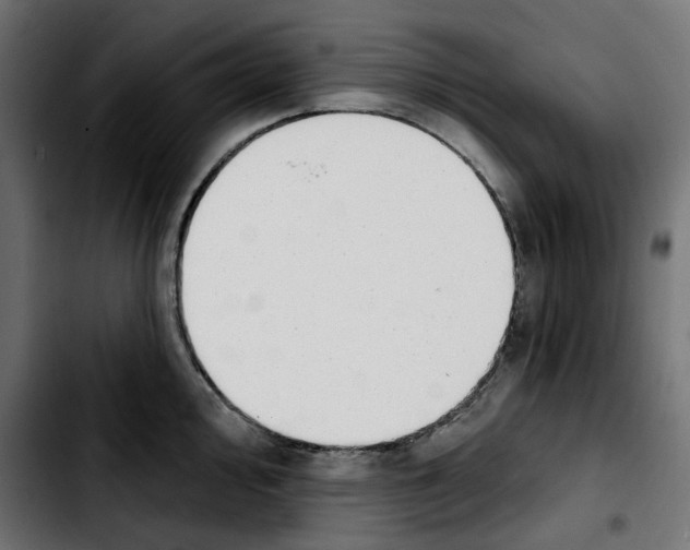 X0000103911000200810311428