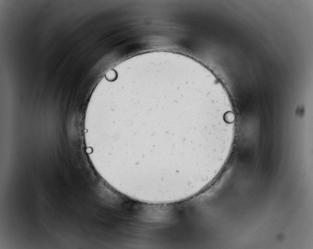 X0000103911001200810311428